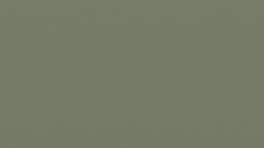 D1000 Excel - PALE EUCALYPT - Matt