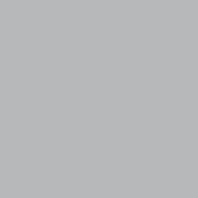 Duralloy® Anotec® - SILVER GREY - Matt