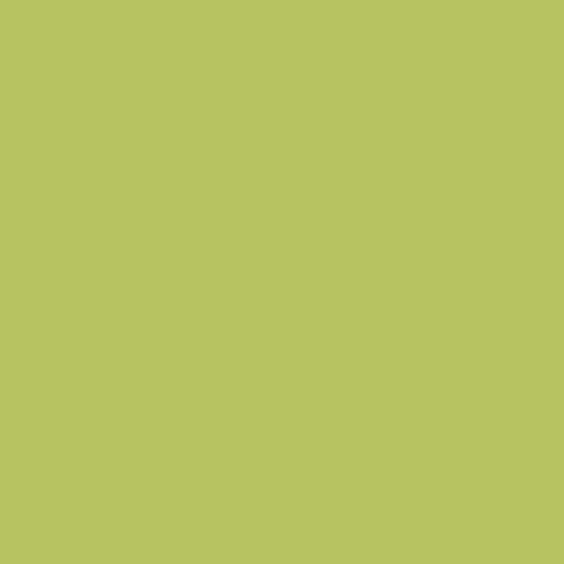 Duratec® Intensity - JUICY LIME - Satin