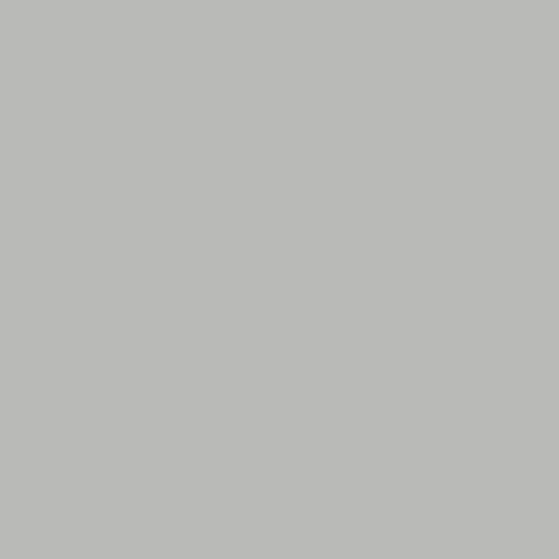 Duratec Zeus® - SHALE GREY - Matt