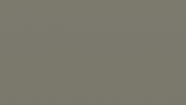 D1000 Excel - BUSHLAND - Matt