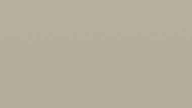 D1000 Excel - EVENING HAZE - Matt